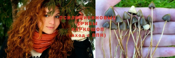 марки lsd Алзамай